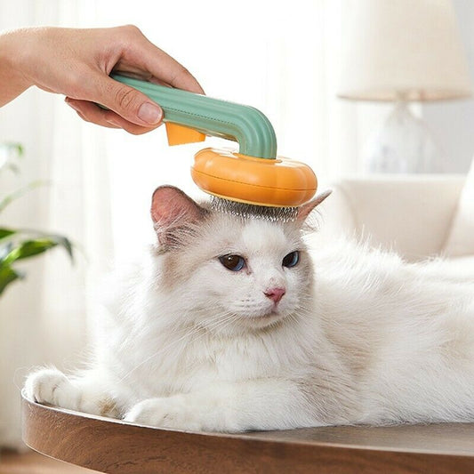 Pet Pumpkin Brush Self Cleaning Slicker Grooming Brush for Dogs