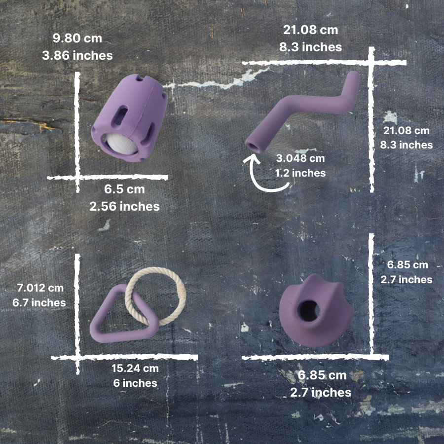Pet Playtime Set