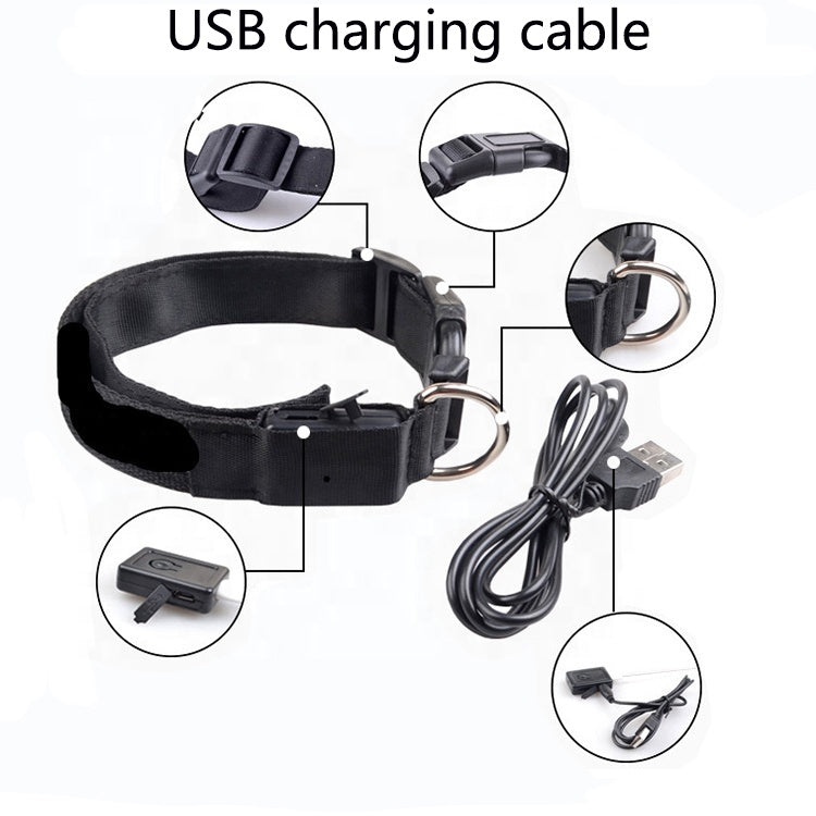 USB Rechargeable LED Pet Dog Collar Night Safety Light