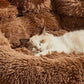 Big Paw Plush Pet Sofa Bed Washable Calming Raised Edges