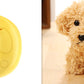 3 in 1 Pet Steam Brush Grooming Comb Hair Removal Tool