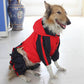 Large dog pet raincoat