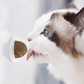 Minty Fun Catnip Ball Toy Set - Interactive Pet Supplies For Playful Cats