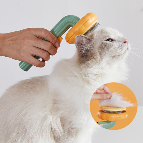 Pet Pumpkin Brush Self Cleaning Slicker Grooming Brush for Dogs