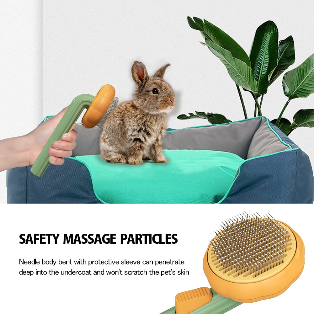 Pet Pumpkin Brush Self Cleaning Slicker Grooming Brush for Dogs