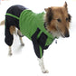 Large dog pet raincoat
