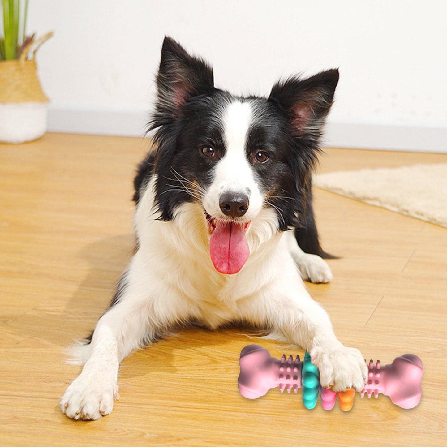 Dog Chew Toy Bone Type Indestructible TPR Teeth Cleaning