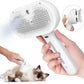 Pet Spray Hair Comb Grooming Brush with Water Mist