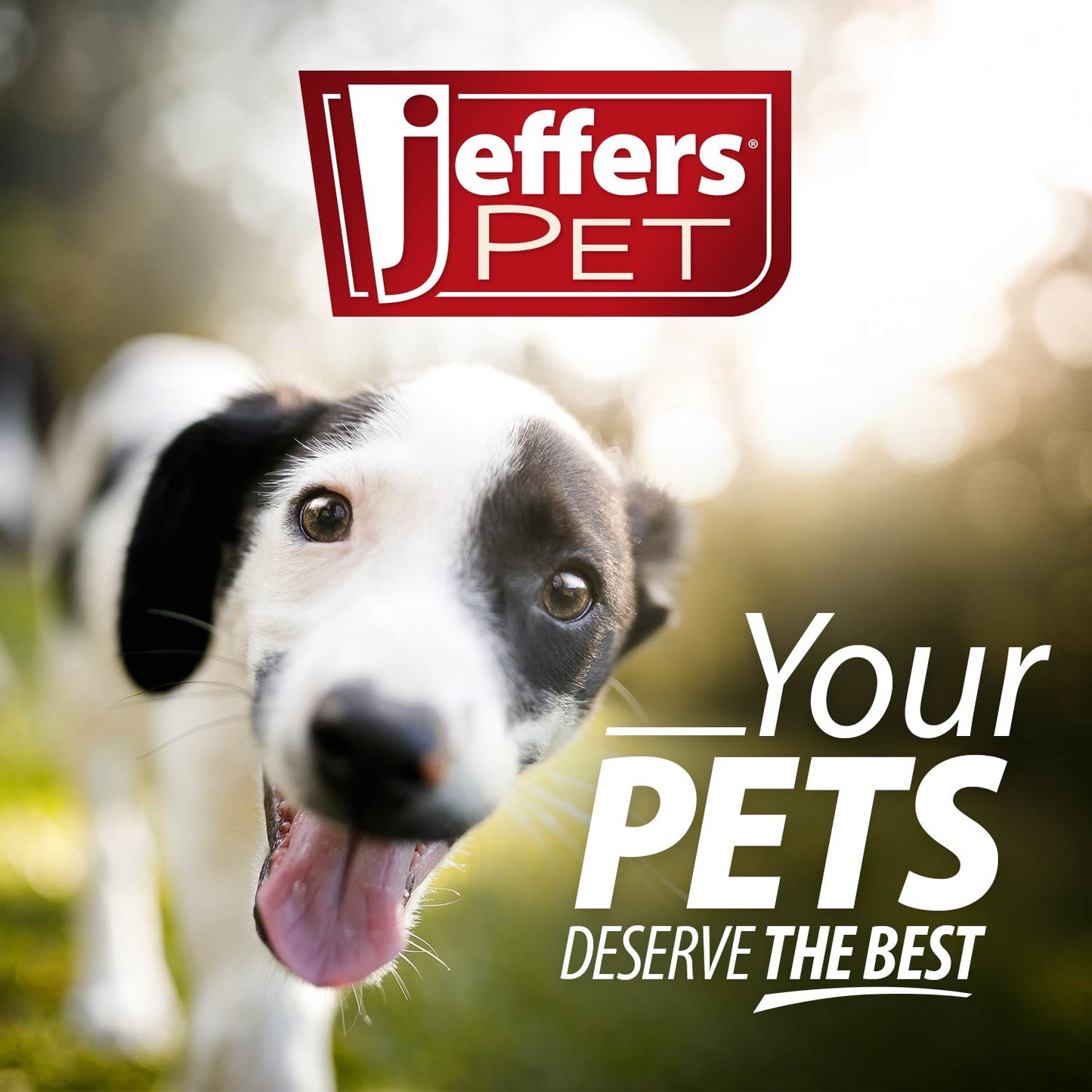 Pet Tearless All-Purpose All-Natural Coconut Oil Shampoo for Dogs & Cats