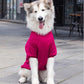 3XL-9XL Winter Warm Pet Sweater