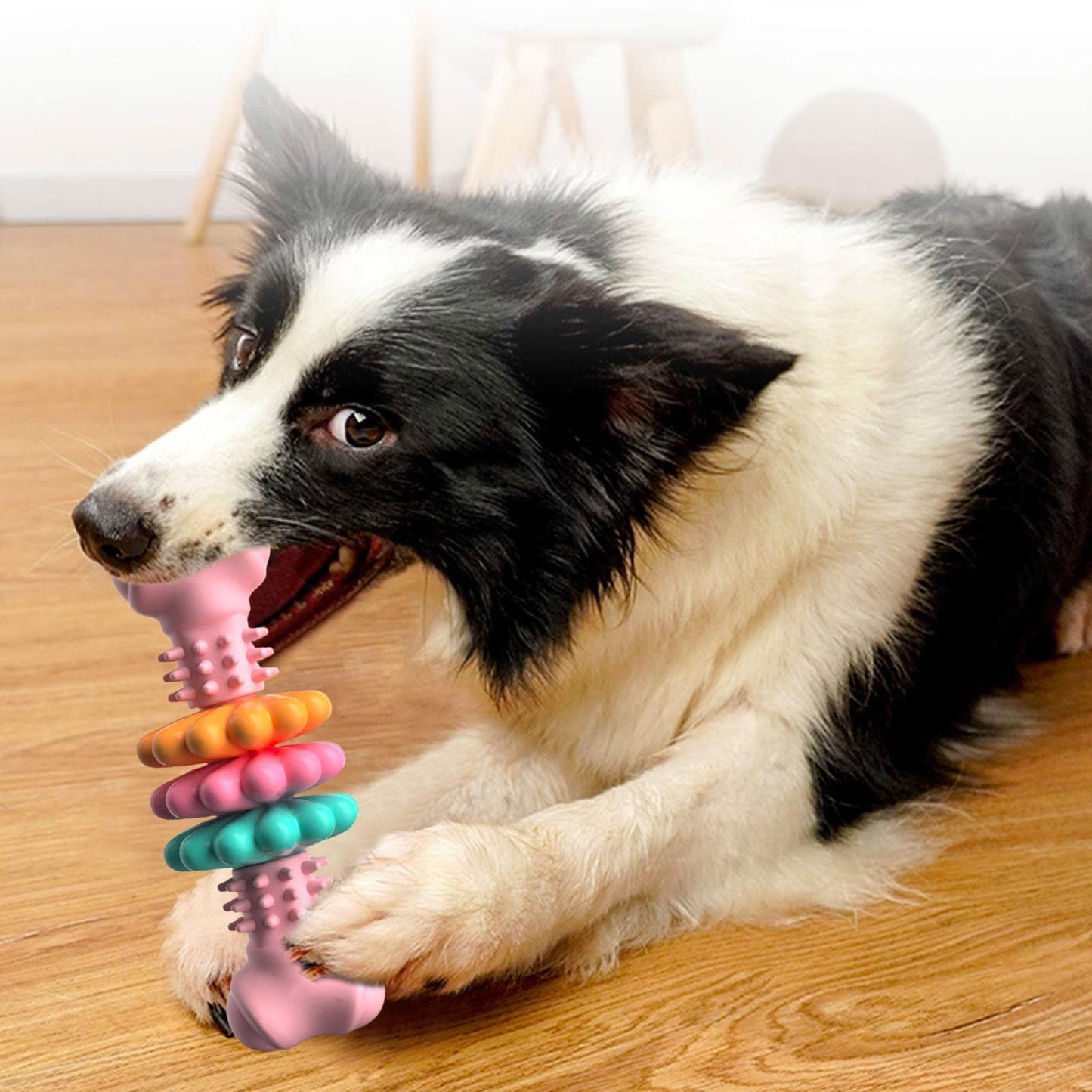 Dog Chew Toy Bone Type Indestructible TPR Teeth Cleaning