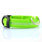 USB Rechargeable LED Pet Dog Collar Night Safety Light