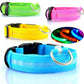 USB Rechargeable LED Pet Dog Collar Night Safety Light