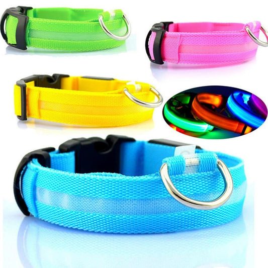 USB Rechargeable LED Pet Dog Collar Night Safety Light