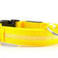 USB Rechargeable LED Pet Dog Collar Night Safety Light