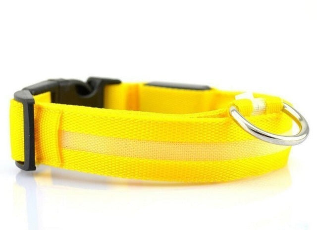 USB Rechargeable LED Pet Dog Collar Night Safety Light