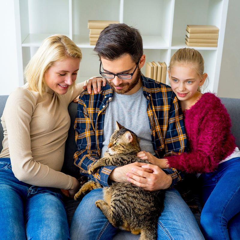 Family of three with a cat sitting on a couch in a home setting