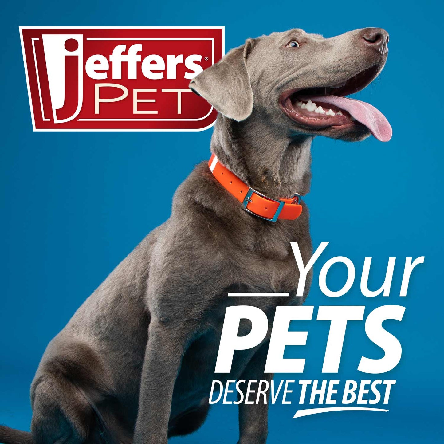Self-Cleaning Slicker Pet Grooming Brush
