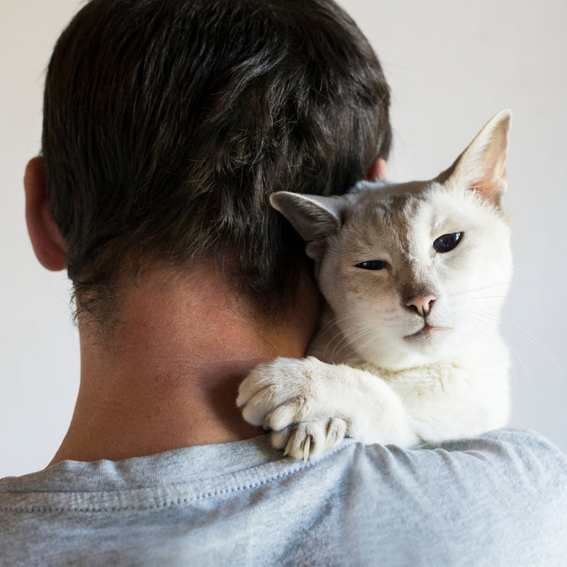 Person with a cat on their shoulder against a plain background