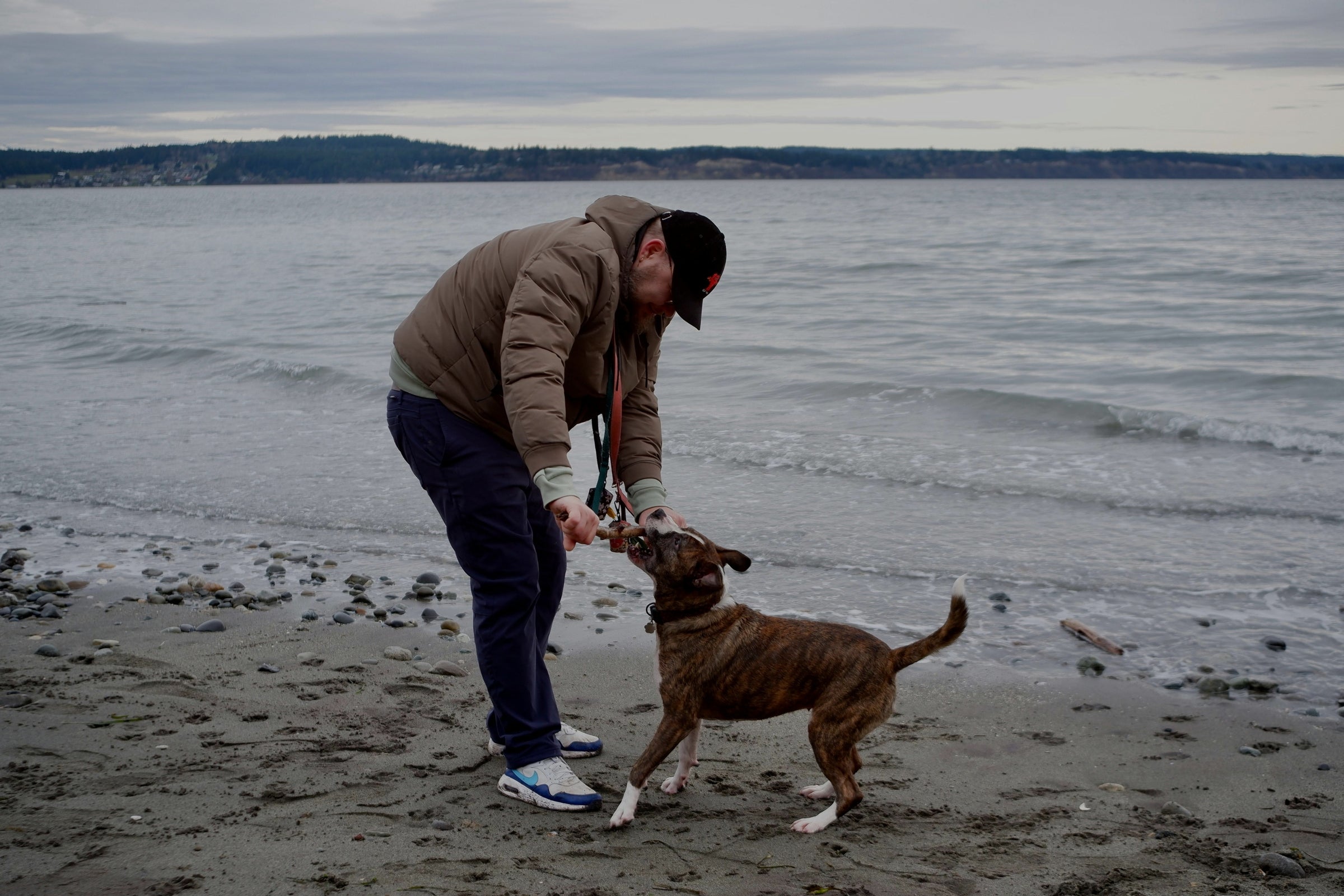 Man and dog on a beach with ocean in the background