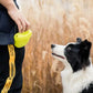 Portable Dog Training Treat Pouch with Clip Outdoor Waist Bag