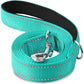 Reflective Pet Leash | Adjustable Polyester Lead Strap for Dogs and Cats