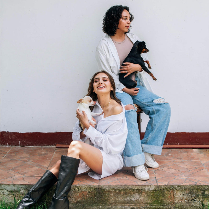 Two women sitting on steps with two small dogs, one in each lap, against a white wall.